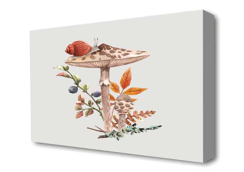 The Lone Toadstool Canvas Wall Art