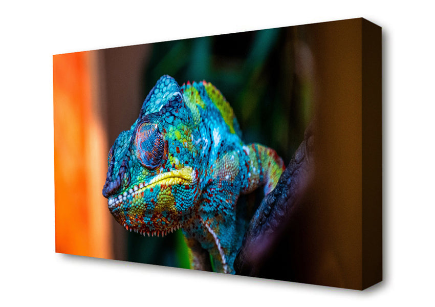 Chameleon Up Close Canvas Wall Art