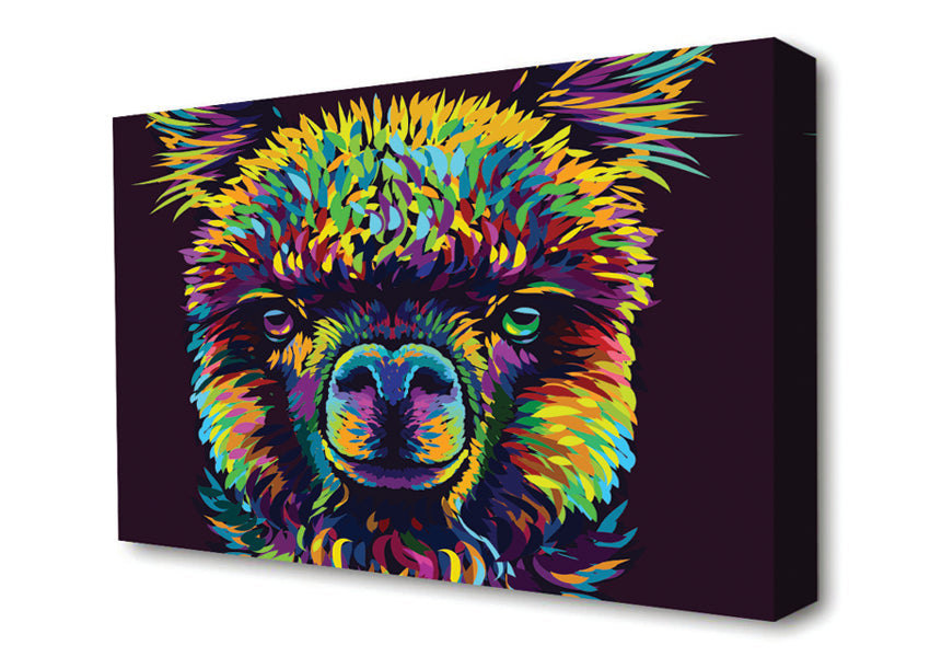 Alpaca In Colour Canvas Wall Art