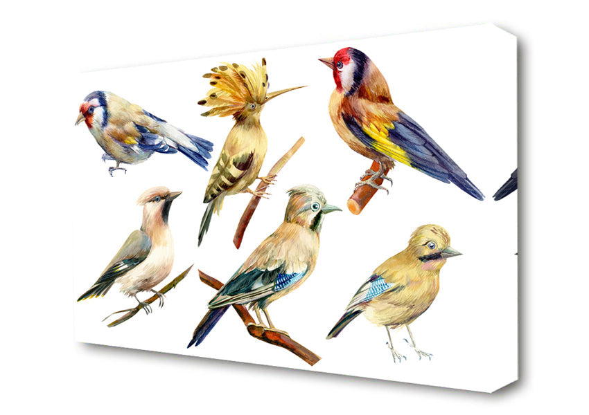 Birds Of Beauty 2 Canvas Wall Art