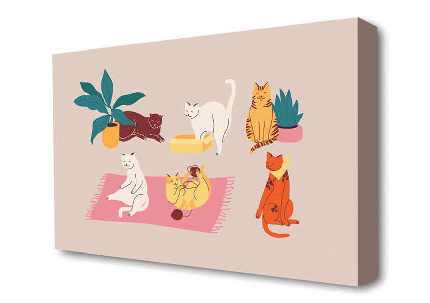 Peaceful Cat Home Canvas Wall Art