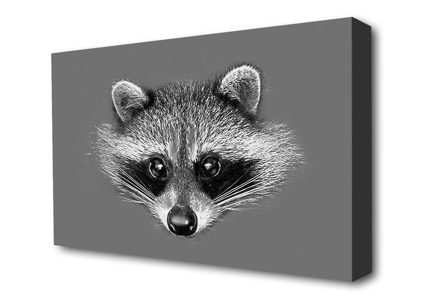Raccoon On Grey Canvas Wall Art