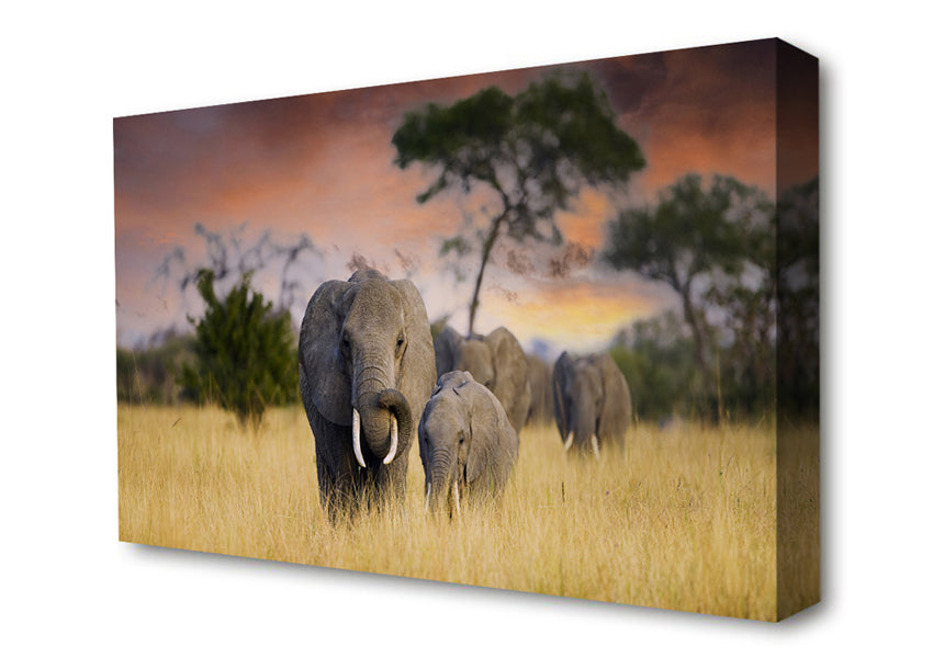 Elephants In Savannah Canvas Wall Art