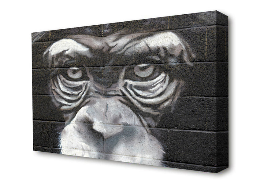 The Chimp Eyes Canvas Wall Art