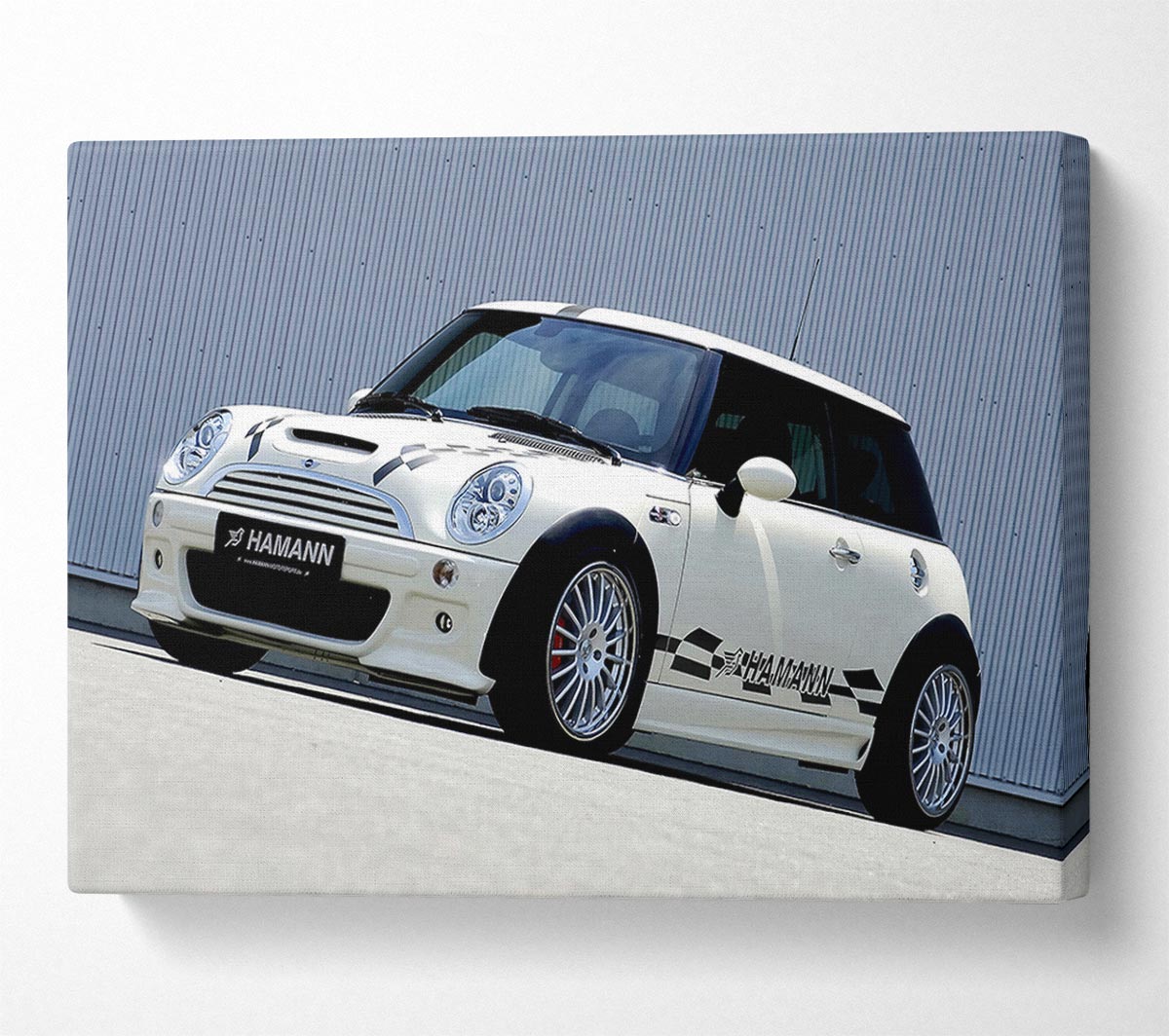 White Mini Side Profile Canvas Wall Art