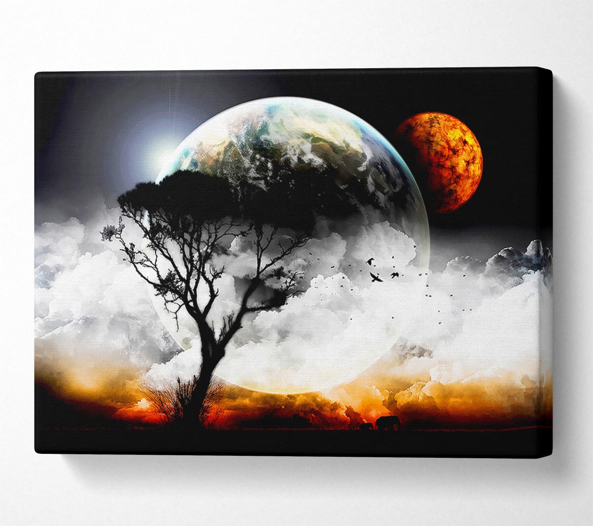 The Earth From Another Planet Canvas Wall Art