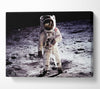 Spaceman On The Moon Canvas Wall Art