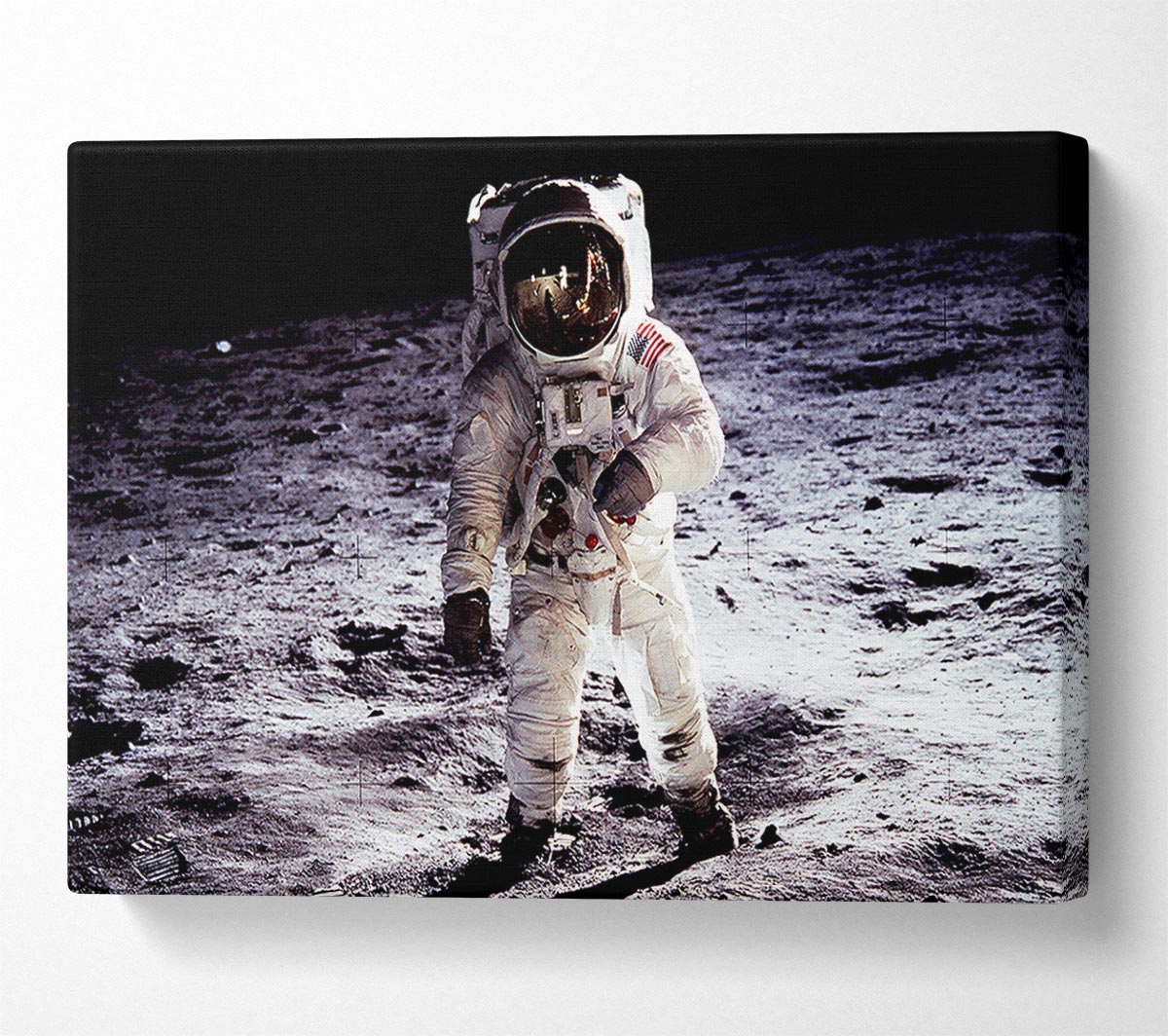 Spaceman On The Moon Canvas Wall Art