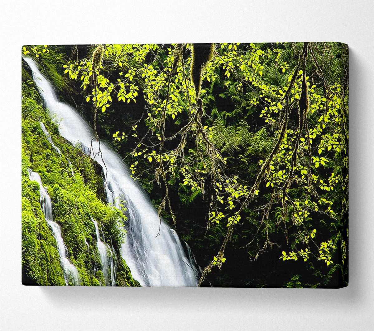 Mountain Waterfall Canvas Wall Art
