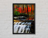 Autumn Waterfall Forest Framed Wall Art