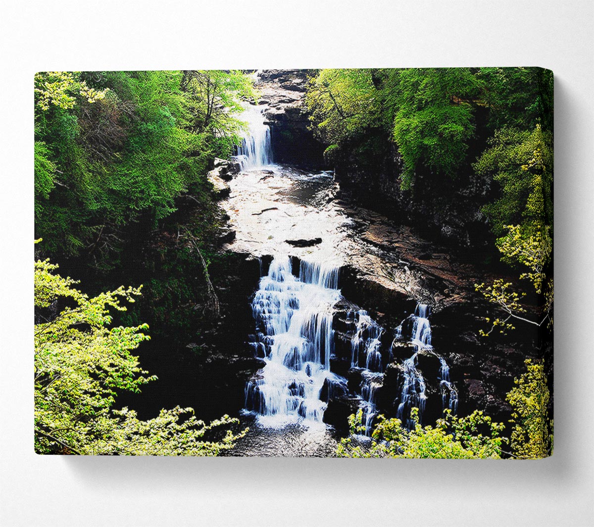 Forest Waterfall Gush Canvas Wall Art