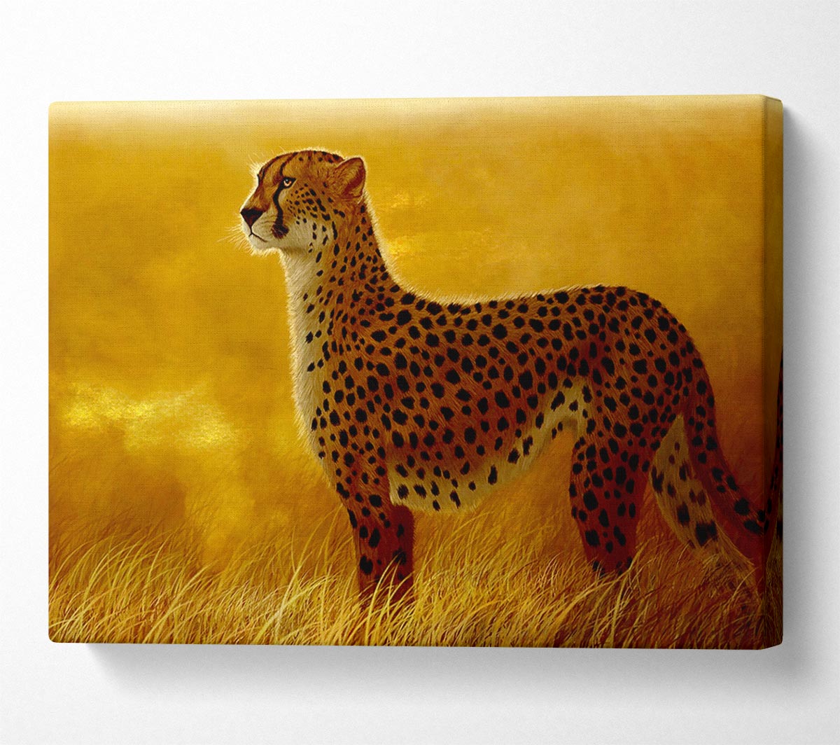 African Cheetah Canvas Wall Art