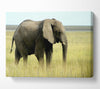 African Elephant Namibia Canvas Wall Art