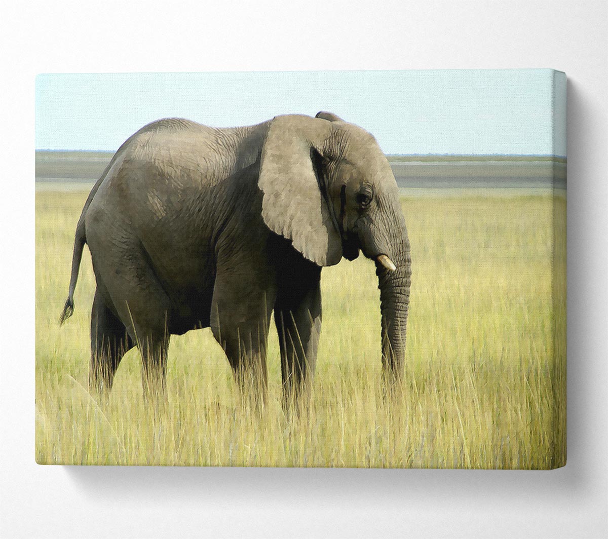 African Elephant Namibia Canvas Wall Art