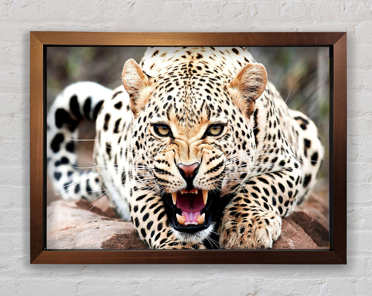 Amazing Cheetah Framed Wall Art