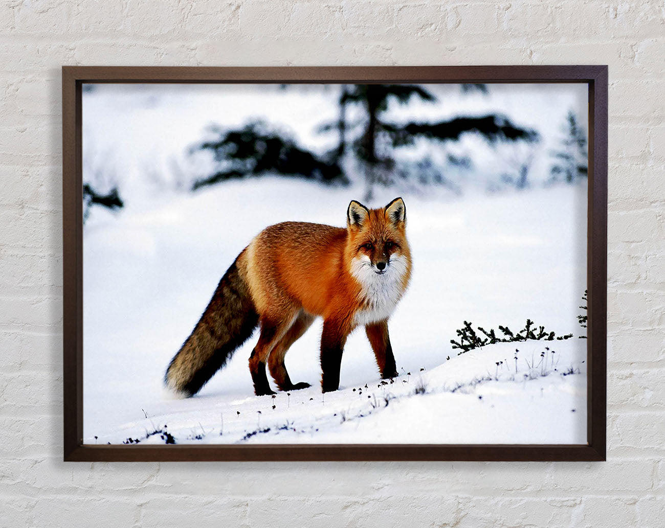 Arctic Fox In Snow Framed Wall Art