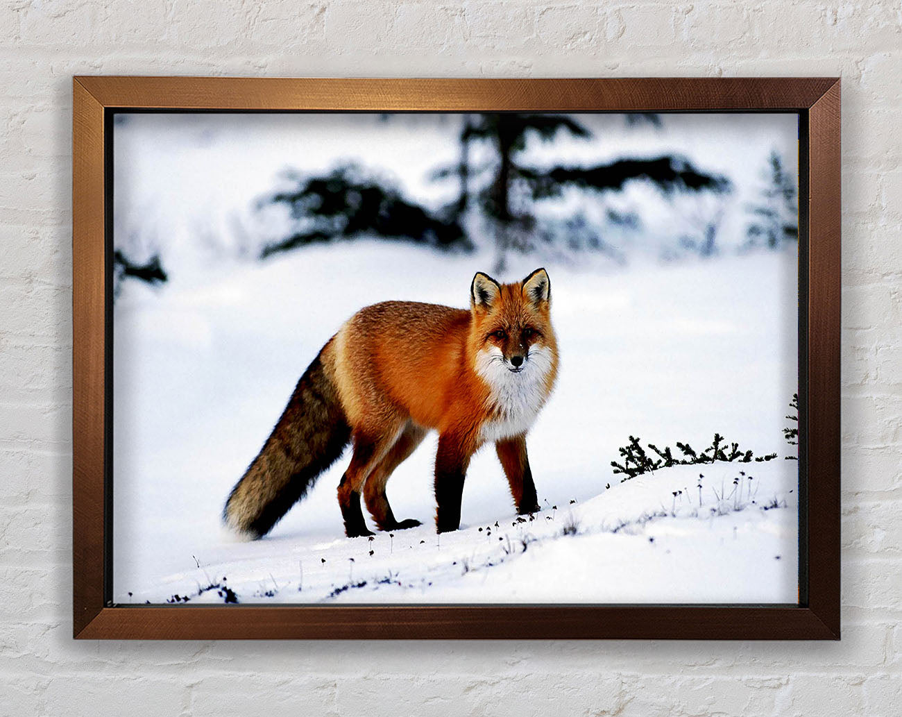 Arctic Fox In Snow Framed Wall Art