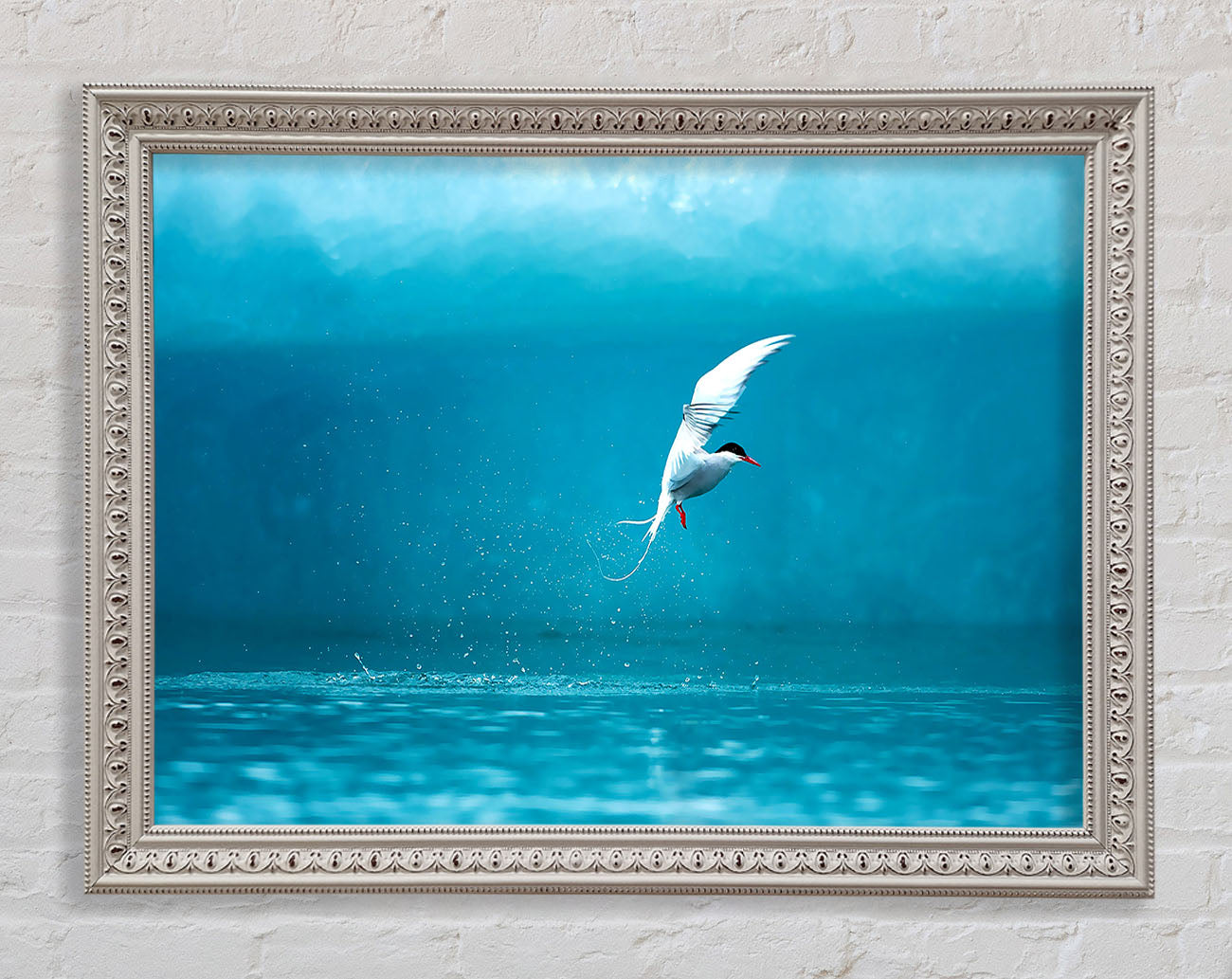 Arctic Tern Framed Wall Art