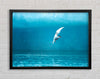 Arctic Tern Framed Wall Art