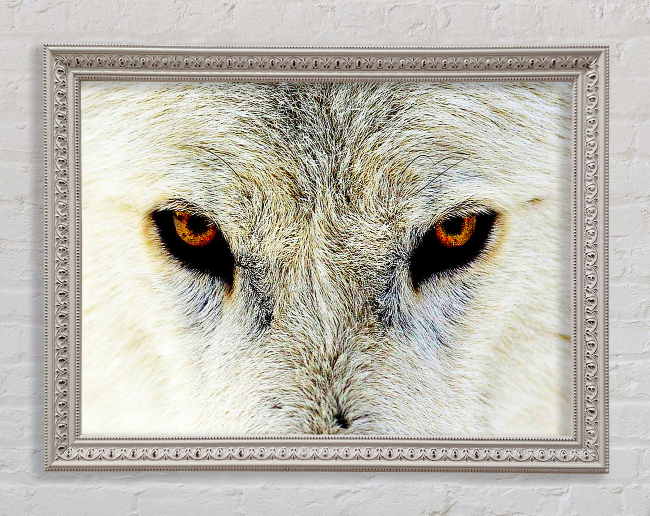 Arctic Wolf Eyes Framed Wall Art
