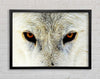 Arctic Wolf Eyes Framed Wall Art