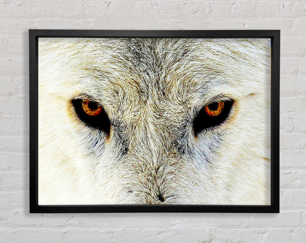Arctic Wolf Eyes Framed Wall Art