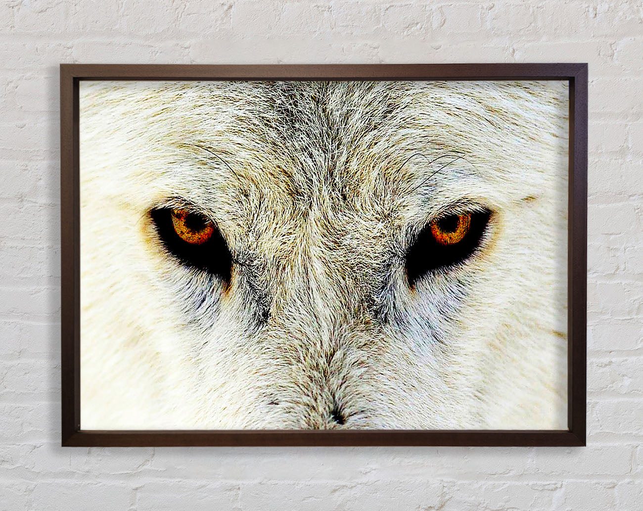 Arctic Wolf Eyes Framed Wall Art