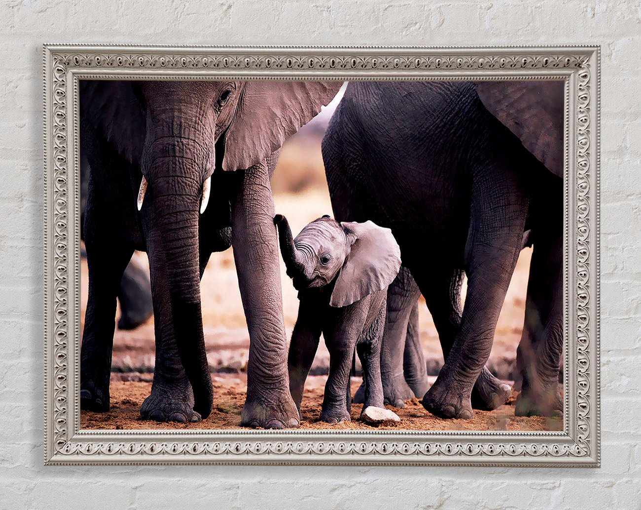 Baby Elephant Love Framed Wall Art