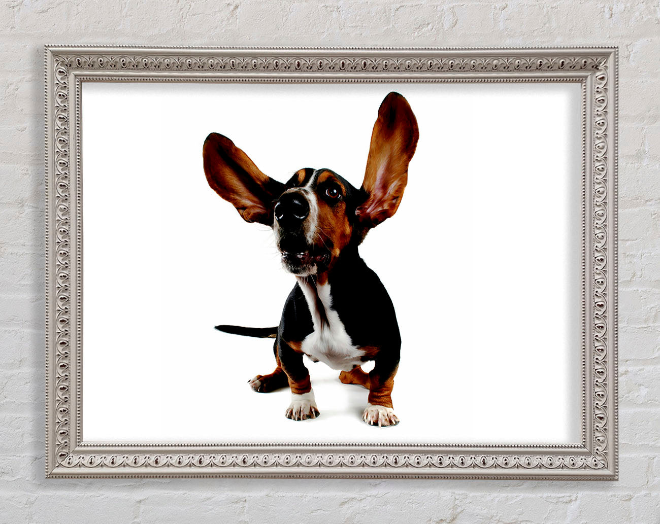 Bassett Hound Ears Framed Wall Art