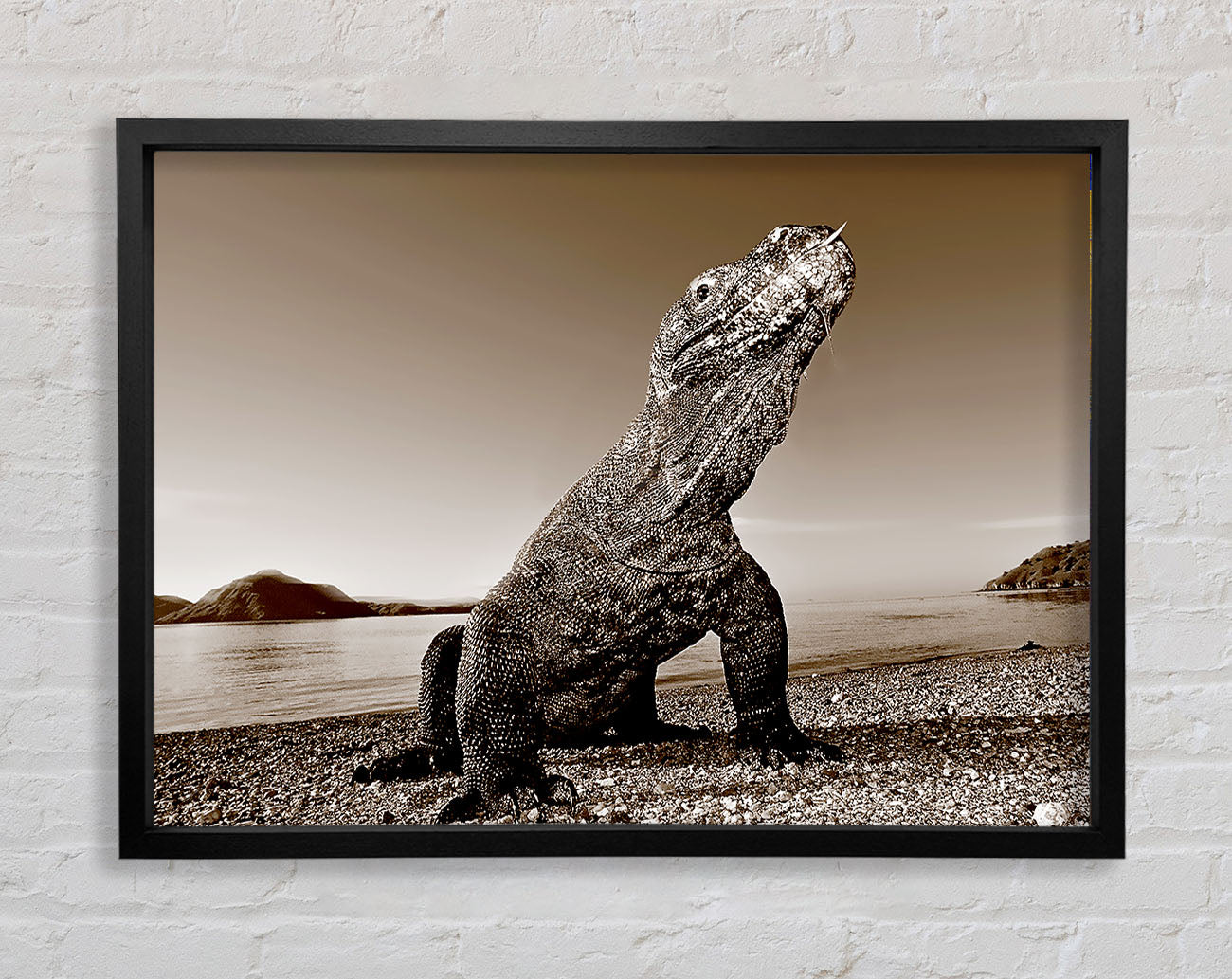Beach Komodo Dragon Framed Wall Art