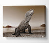 Beach Komodo Dragon Canvas Wall Art