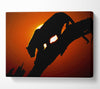 Big Cat In Sunlight Canvas Wall Art
