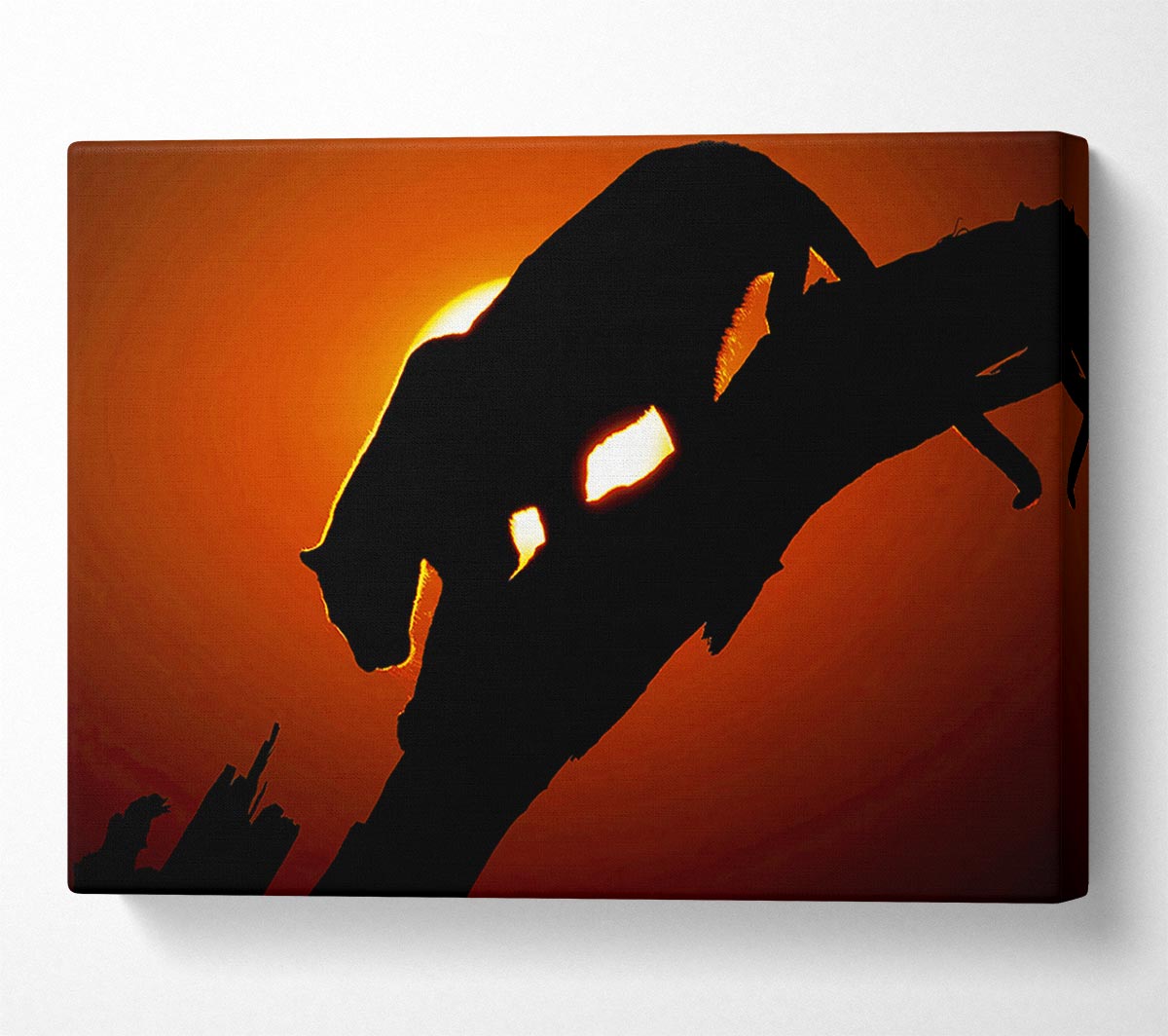 Big Cat In Sunlight Canvas Wall Art