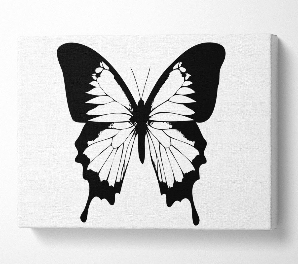 Black And White Butterfly Wings Canvas Wall Art
