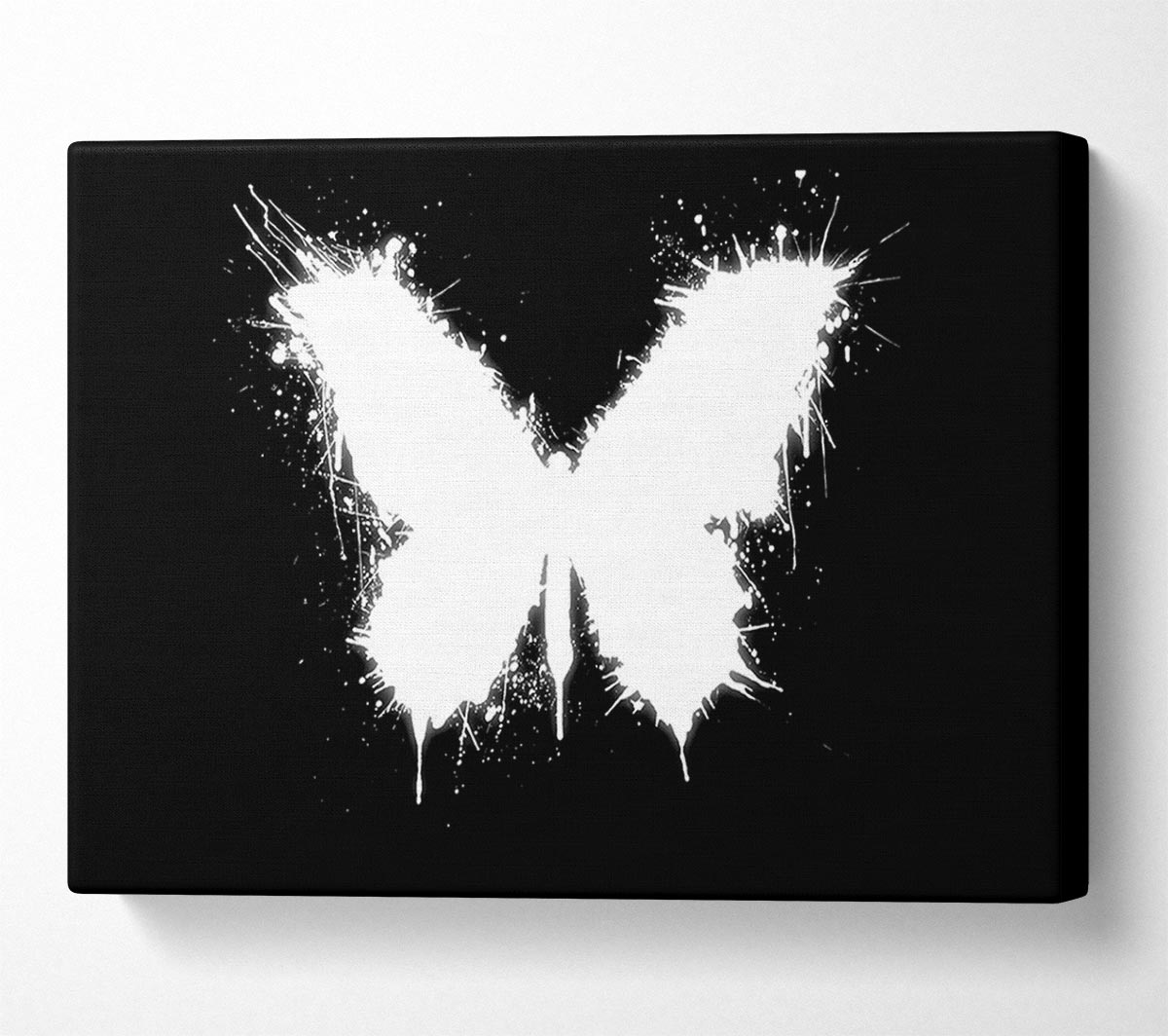 Black And White Butterfly Canvas Wall Art