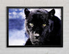 Black Panther Framed Wall Art