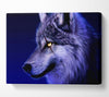 Blue Wolf Eye Canvas Wall Art