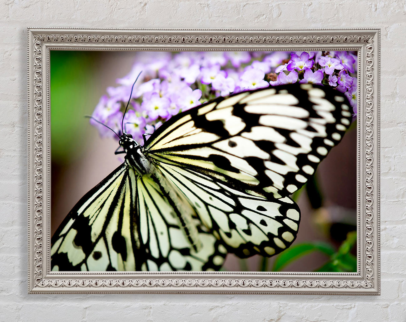 Butterfly Pattern Framed Wall Art