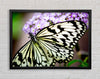 Butterfly Pattern Framed Wall Art