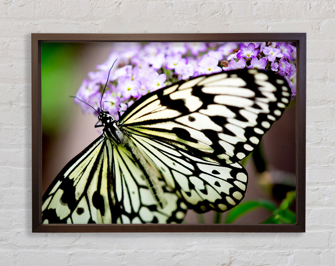 Butterfly Pattern Framed Wall Art