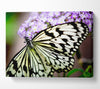 Butterfly Pattern Canvas Wall Art