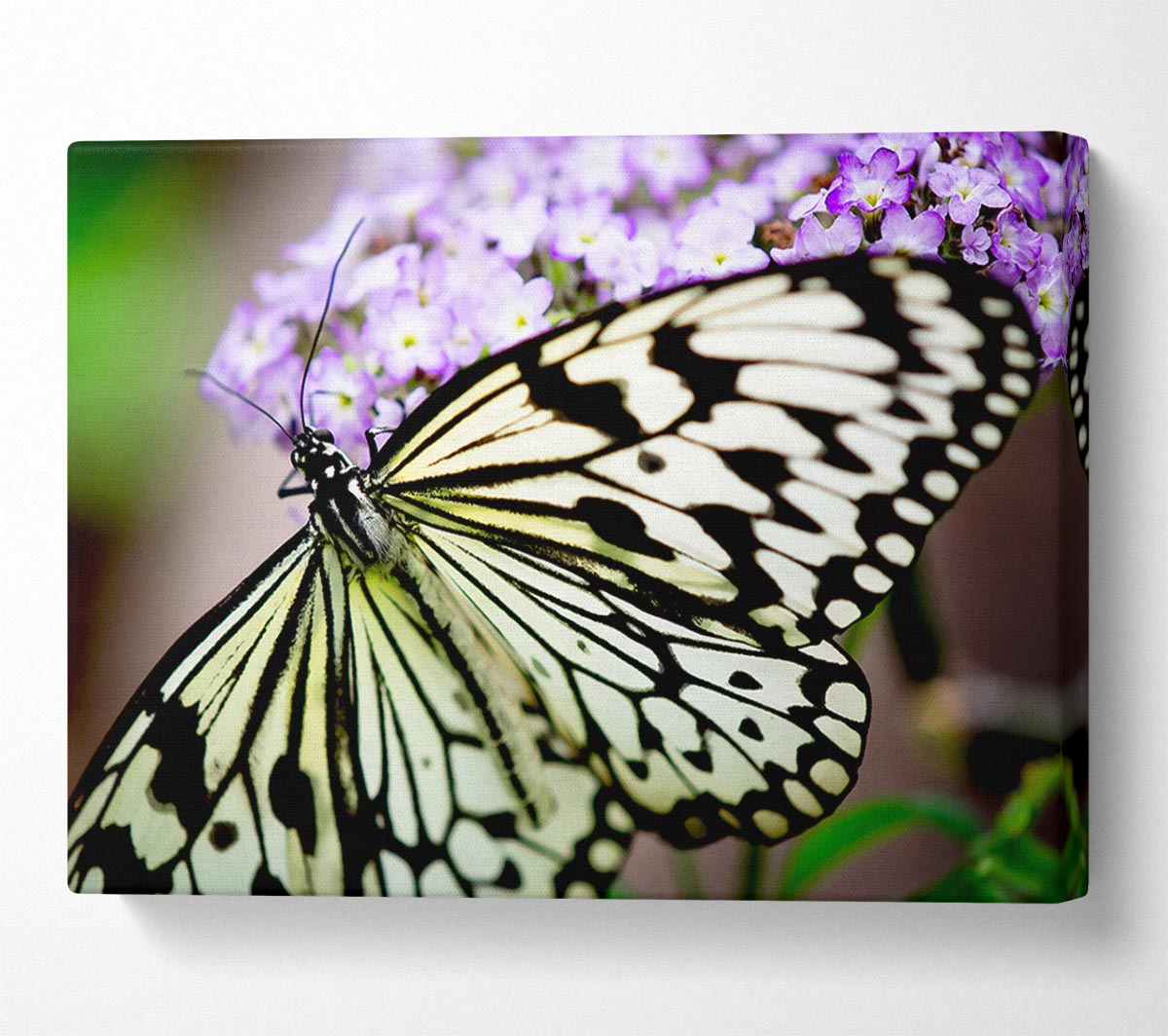 Butterfly Pattern Canvas Wall Art