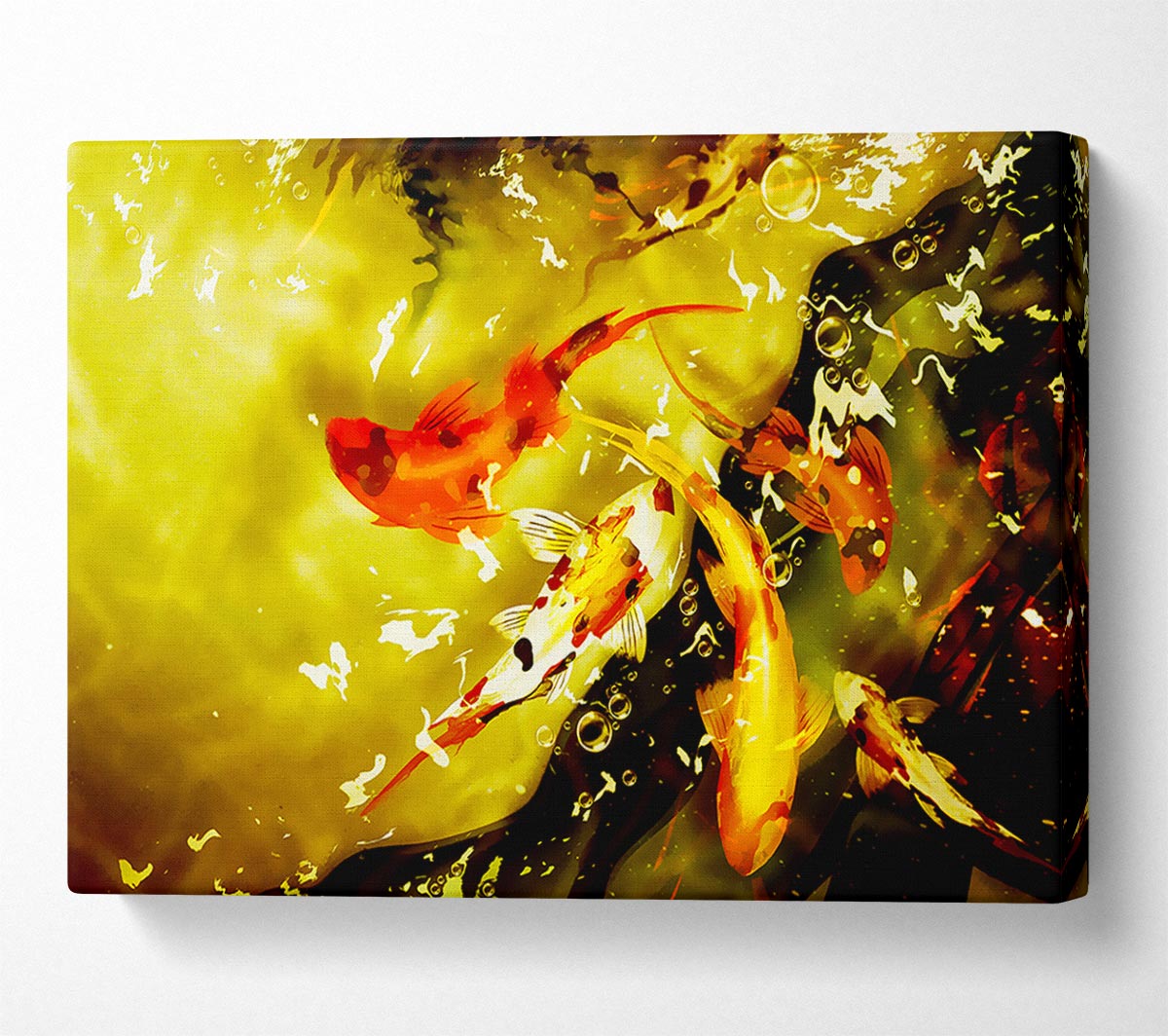 Carp Play Canvas Wall Art