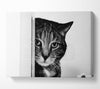 Cat Beauty Canvas Wall Art