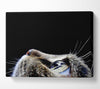 Cat Eyes Canvas Wall Art