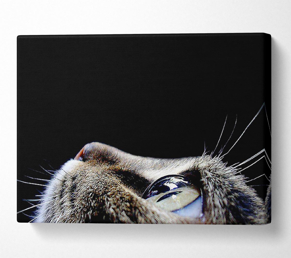Cat Eyes Canvas Wall Art