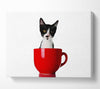 Cat In A Tea Cup Canvas Wall Art