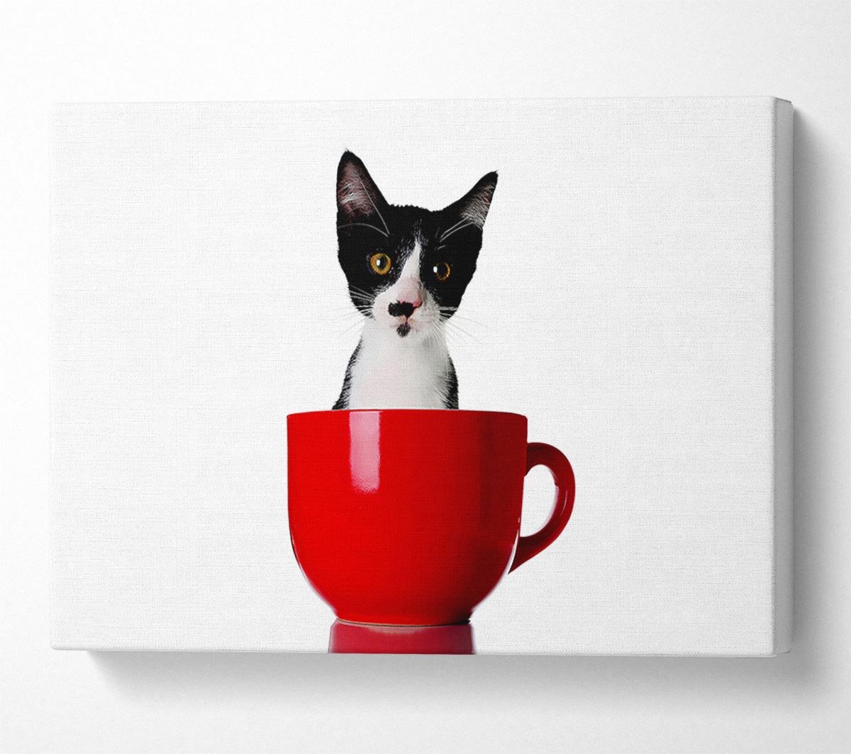 Cat In A Tea Cup Canvas Wall Art