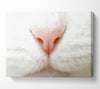 Cat Nose 2 Canvas Wall Art