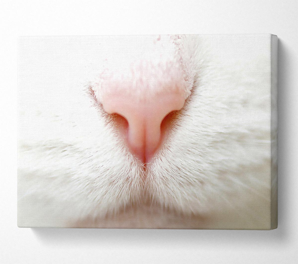 Cat Nose 2 Canvas Wall Art